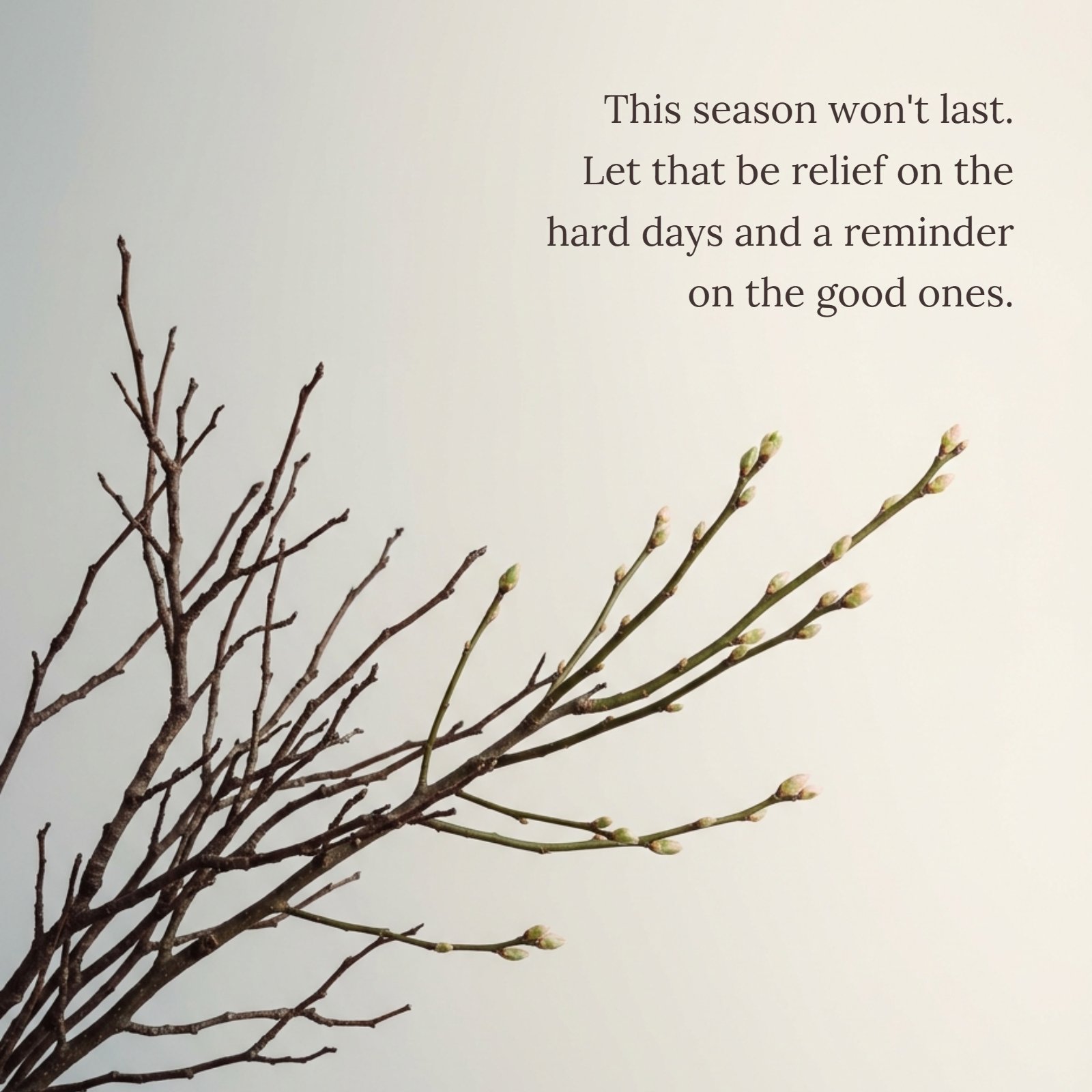 A minimalist photo showing bare autumn branches on the left that transition smoothly into new spring buds on the right, set against a muted light grey to white gradient background. The timeless quote, "This season won't last. Let that be relief on the hard days and a reminder on the good ones," is beautifully overlaid on the ample negative space.