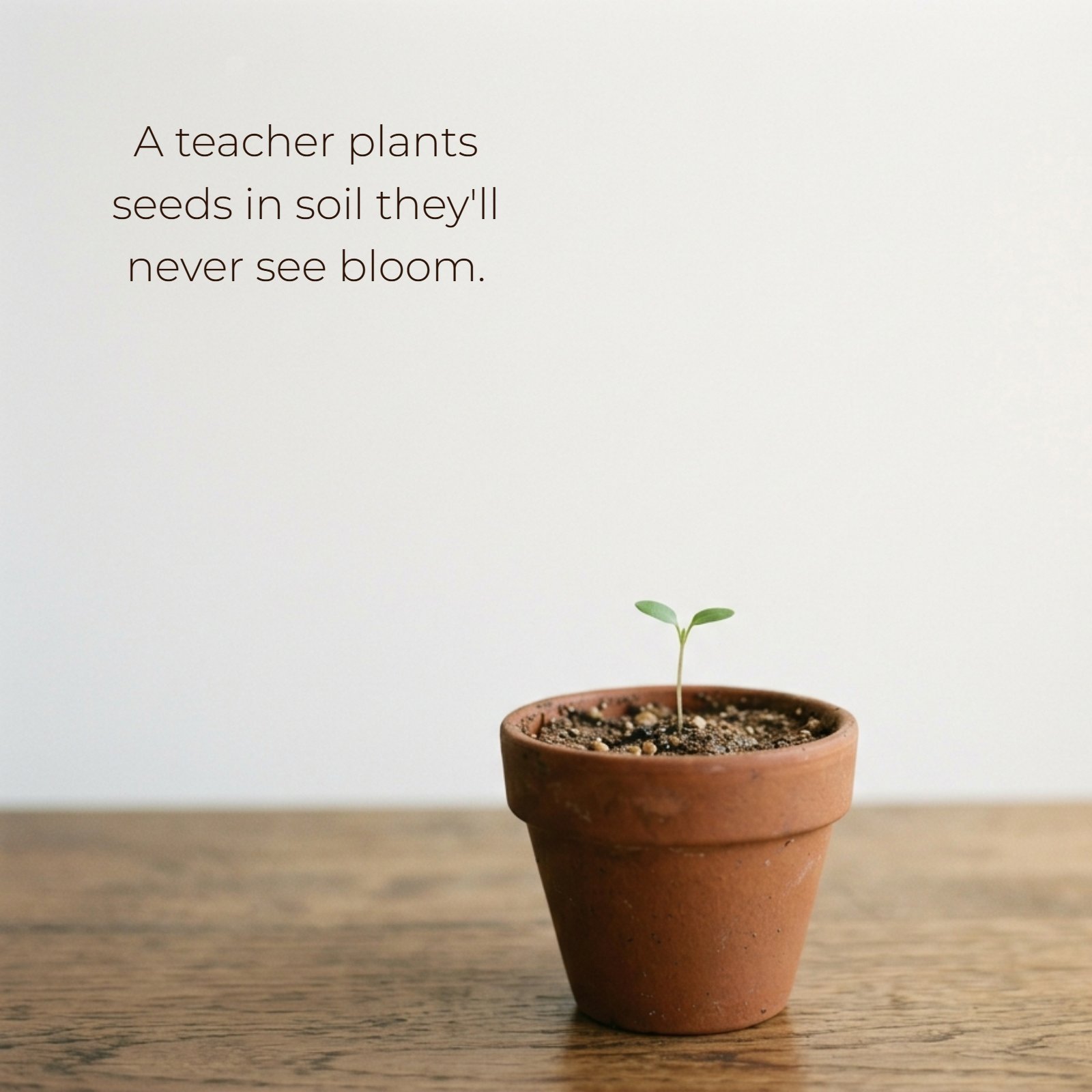 A minimalist photo showing a tiny, small green seedling with two leaves growing out of a small terracotta pot filled with dark soil, with the quote "A teacher plants seeds in soil they'll never see bloom" written in the large blank background space above it.
