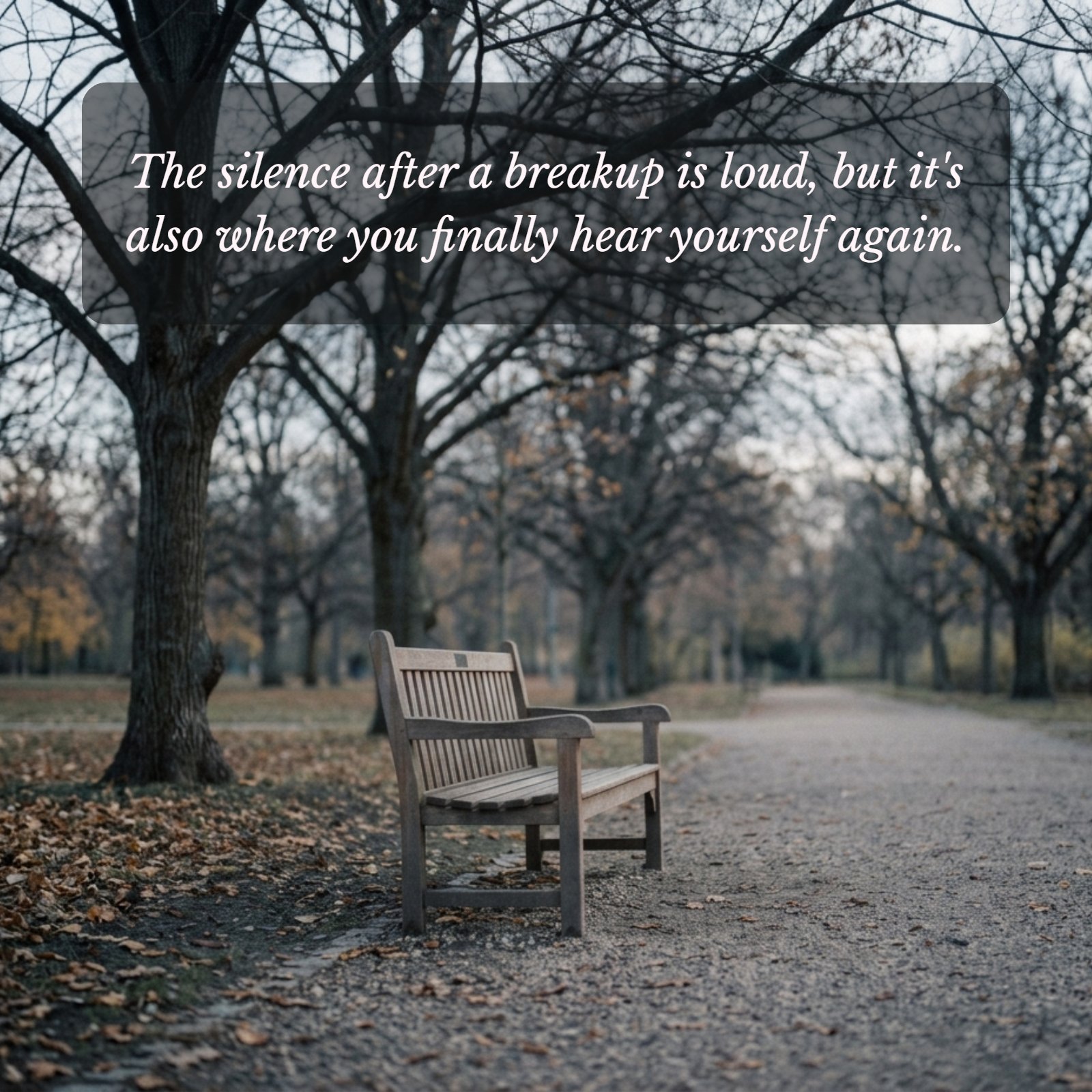 Soft-focus photo of an empty wooden park bench under bare trees in autumn, showing the quiet mood related to finding peace after a breakup.