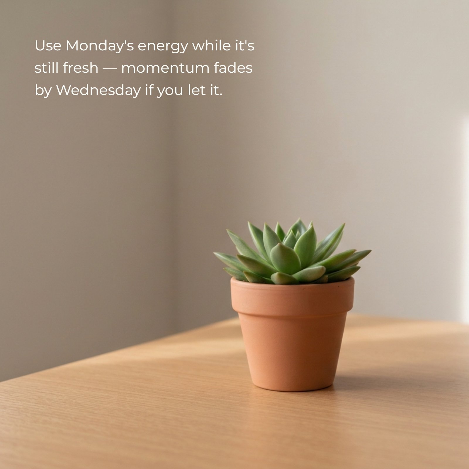 A minimalist photo showing a fresh green succulent plant in a simple terracotta pot on a plain desk with natural light. White text overlay displays the quote: Use Monday's energy while it's still fresh — momentum fades by Wednesday if you let it.