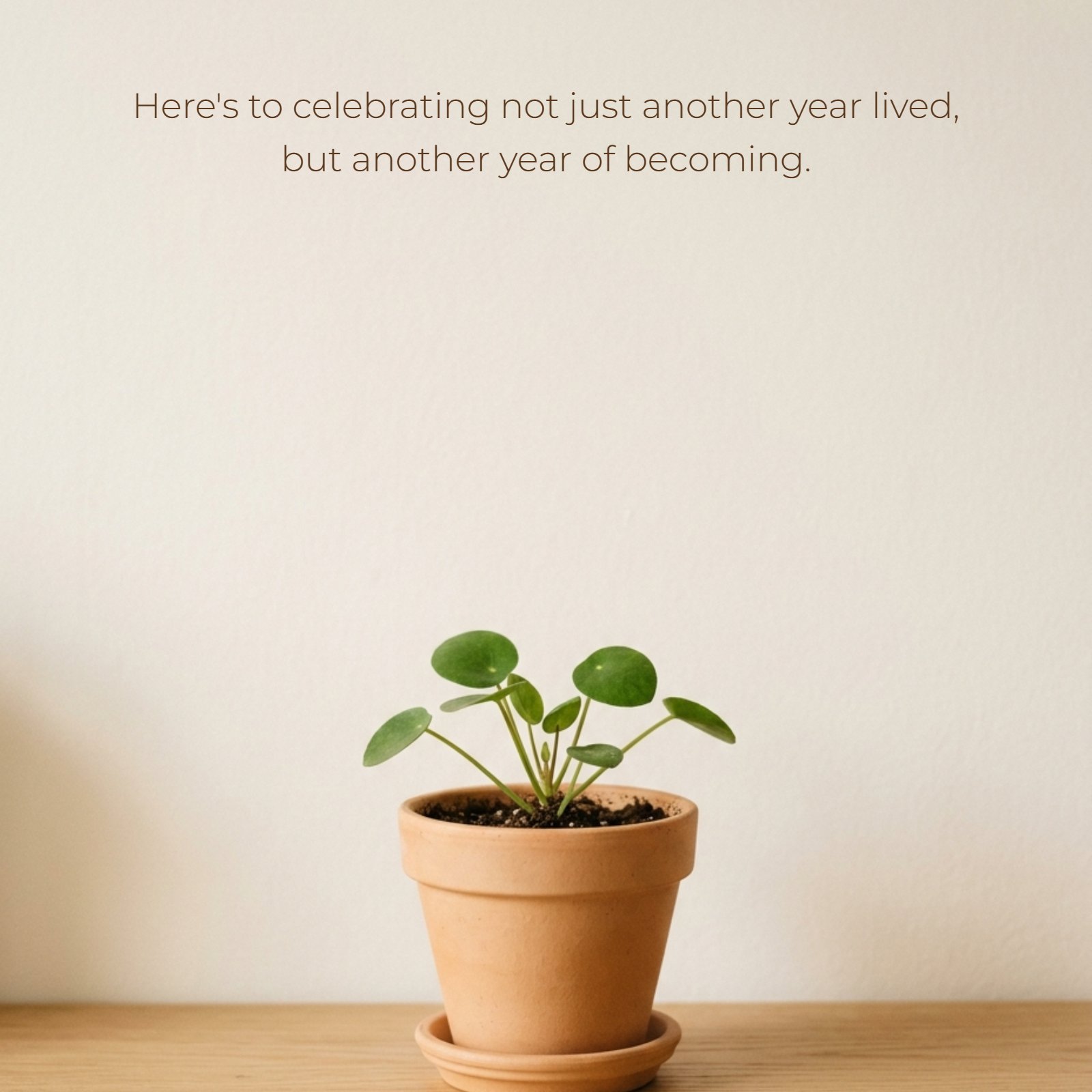 Minimalist 4:5 photograph of a small potted plant on a wooden shelf with ample clean negative space, perfect for adding the birthday quote: Here's to celebrating not just another year lived, but another year of becoming.